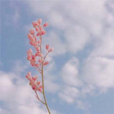 博鱼中国体育官网登录