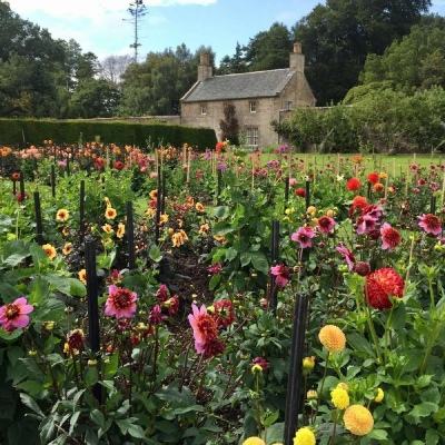 365平台手机app下载