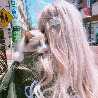 半岛官网入口网页版下载手机版